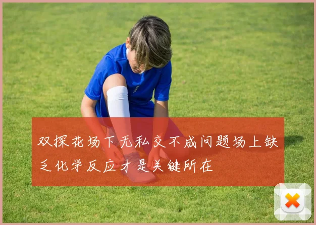双探花场下无私交不成问题场上缺乏化学反应才是关键所在