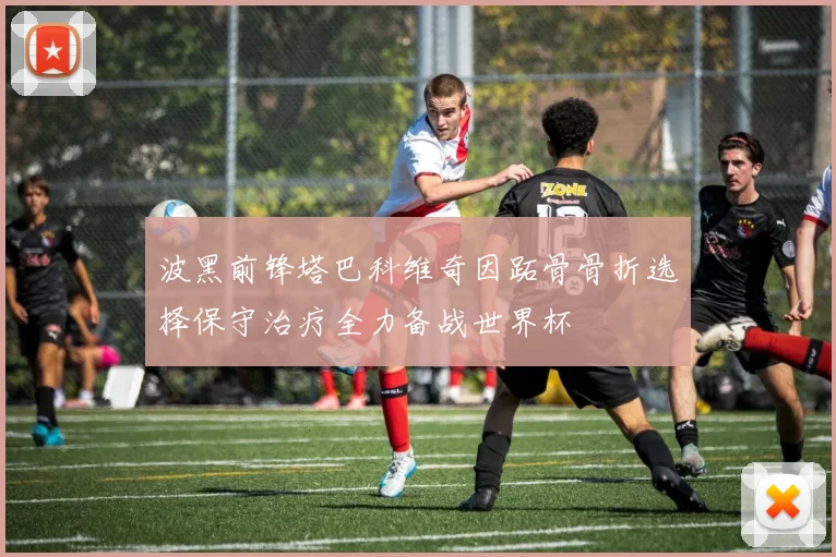 波黑前锋塔巴科维奇因跖骨骨折选择保守治疗全力备战世界杯