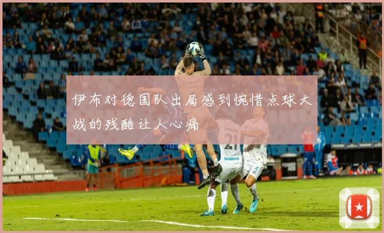 伊布对德国队出局感到惋惜点球大战的残酷让人心痛